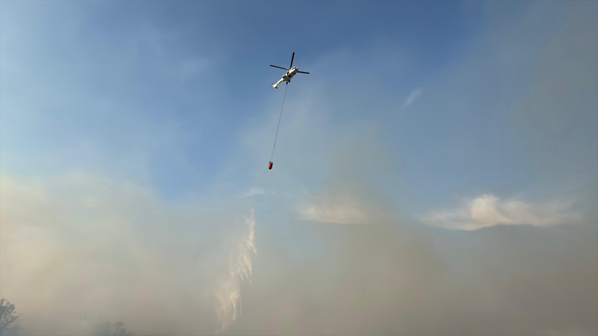 Hatay'ın Arsuz ilçesinde çıkan orman yangını karadan müdahaleyle kontrol altına alınmaya...