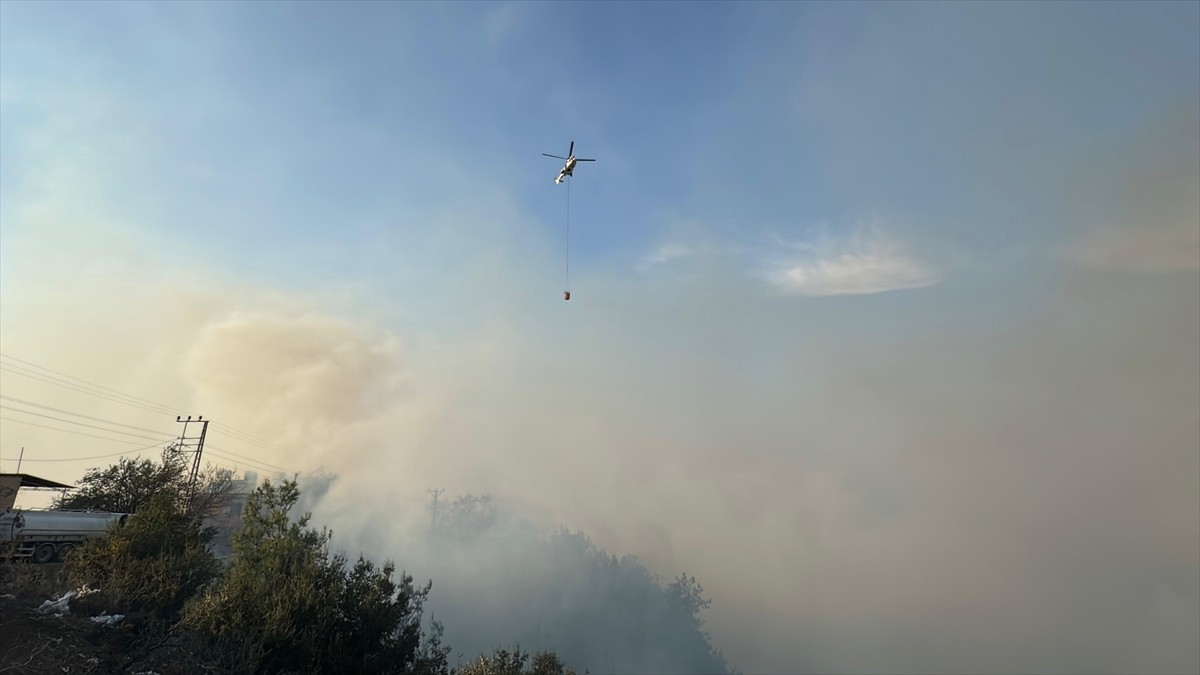 Hatay'ın Arsuz ilçesinde çıkan orman yangını karadan müdahaleyle kontrol altına alınmaya...