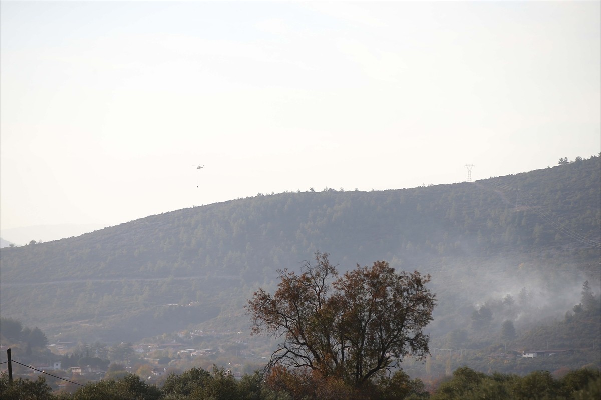  Muğla'nın Menteşe ilçesinde ormanlık ve zeytinlik alanda çıkan yangın, havadan ve karadan...