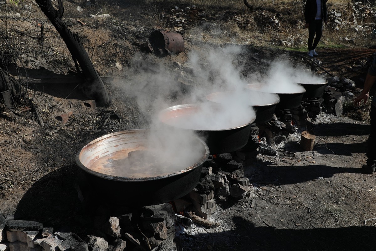 Toros Dağları'ndan toplanan andız kozalakları, bazı işlemlerden geçirildikten sonra 15 saat...