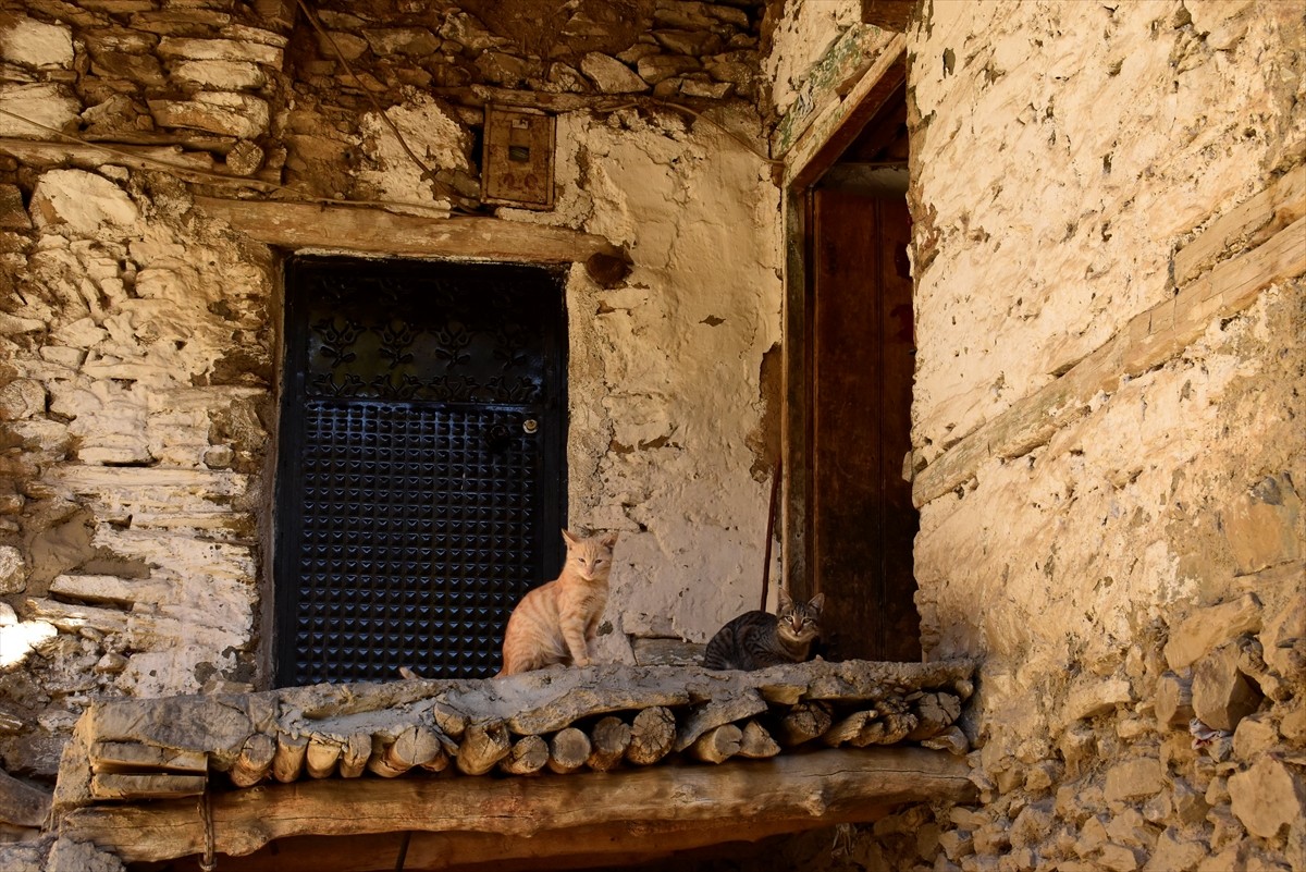 Bitlis'in Hizan ilçesinde taş evleriyle ön plana çıkan köy, sonbaharın renklerine büründü. İlçeye...