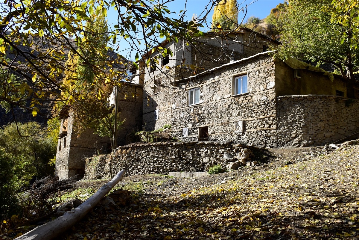 Bitlis'in Hizan ilçesinde taş evleriyle ön plana çıkan köy, sonbaharın renklerine büründü. İlçeye...