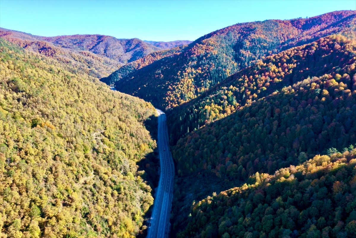 Bolu ile Zonguldak'ın geçiş noktasında bulunan Mengen çevresindeki ormanlar, sonbaharın...