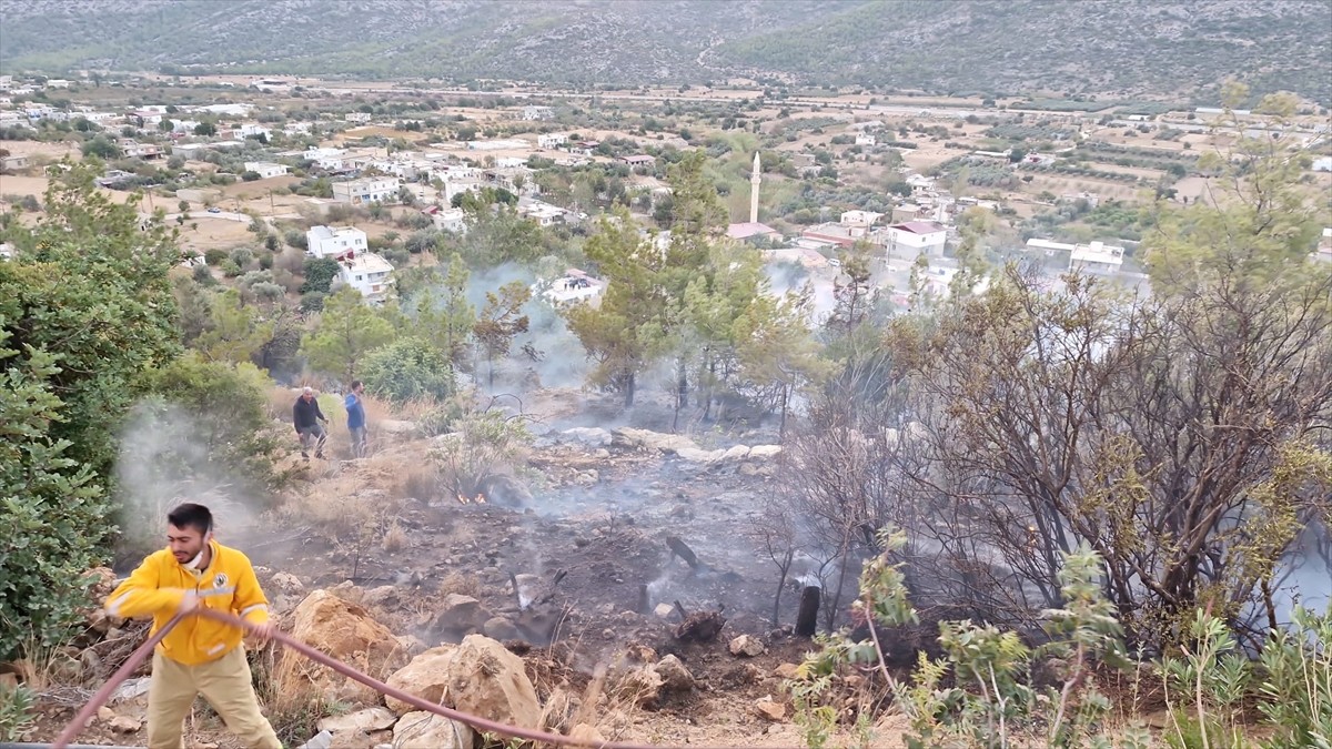 Mersin'in Silifke ilçesinde çıkan orman yangını ekiplerin karadan müdahalesiyle kontrol altına...