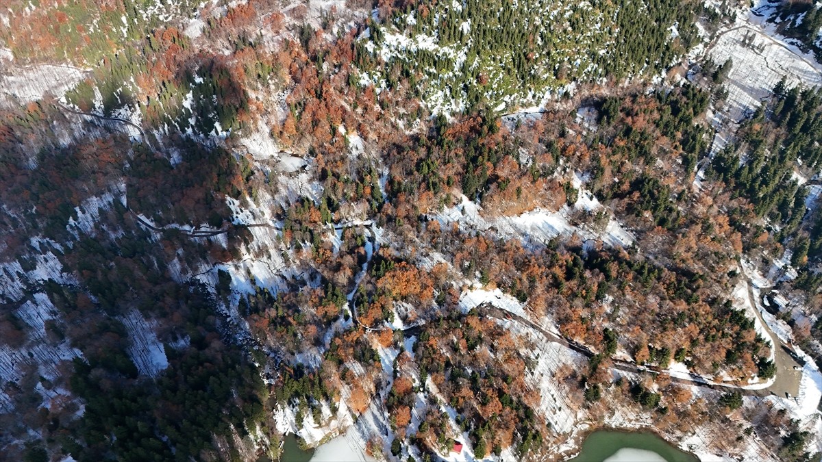  Artvin'in en önemli turizm merkezlerinden Borçka Karagöl Tabiat Parkı, ziyaretçilerini yüzeyi buz...