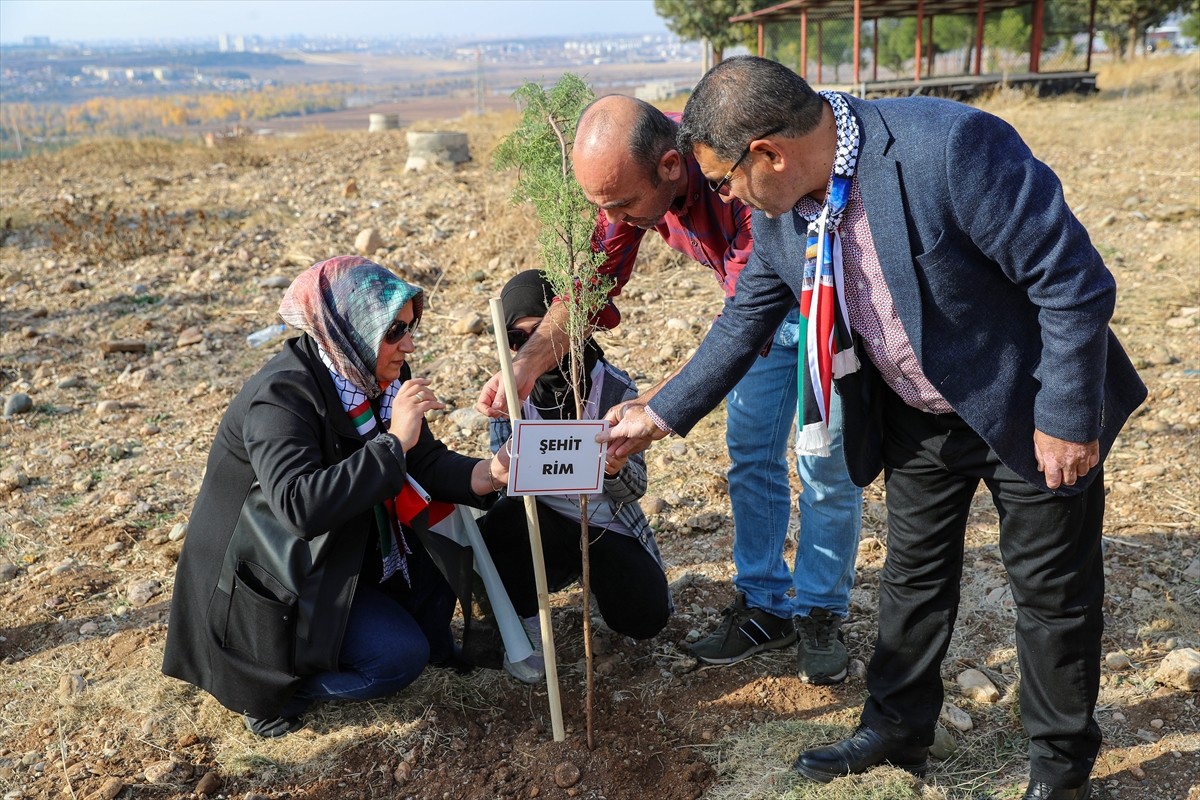 Diyarbakır'da, İsrail'in Gazze'ye yönelik saldırılarında yaşamını yitirenler anısına fidan...