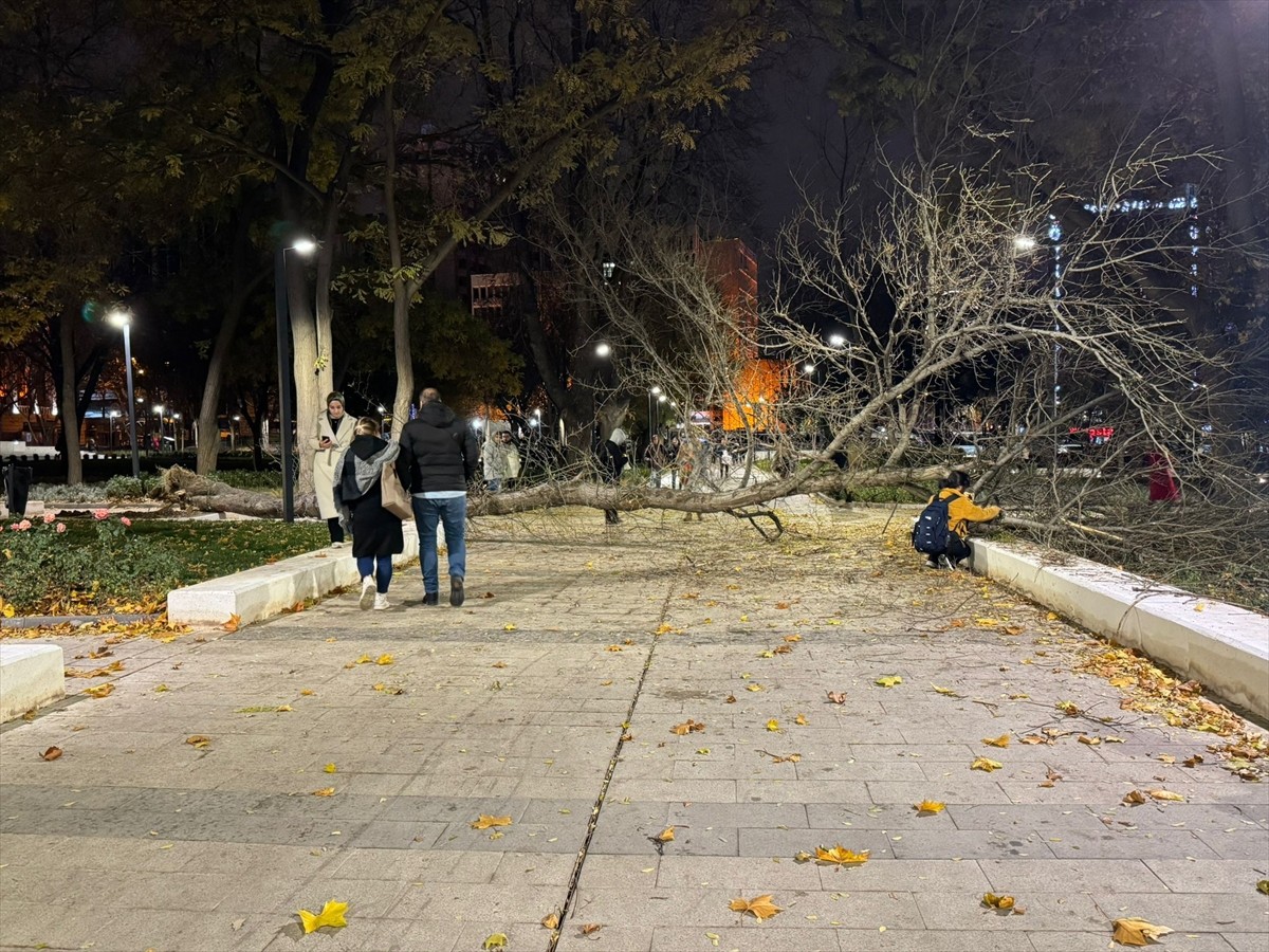 Ankara'nın Çankaya ilçesinde rüzgar nedeniyle bir ağaç devrildi. Kentte akşam saatlerinde etkisini...