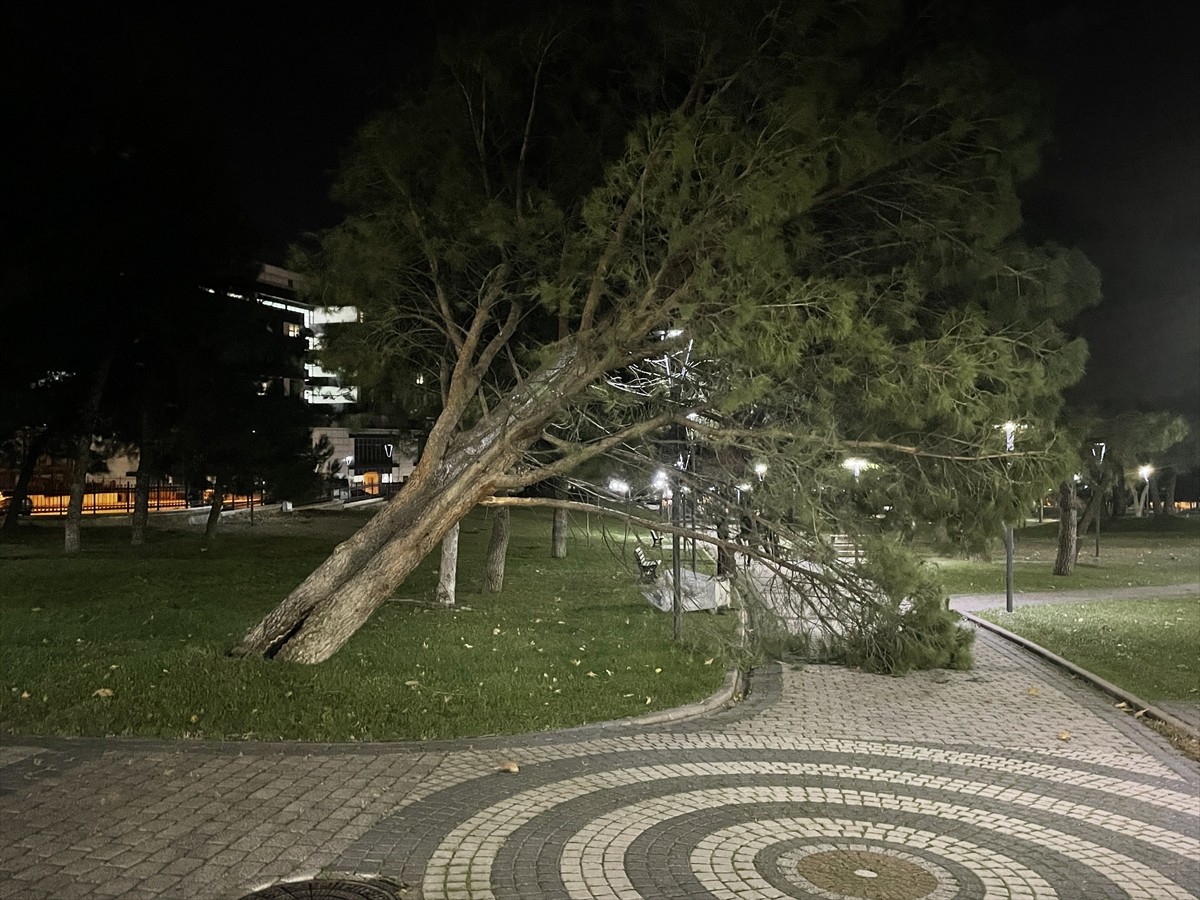 Bursa'da kuvvetli fırtına, otobüs durağı, atık toplama kabini ve ağaçları devirip hasara yol açtı....