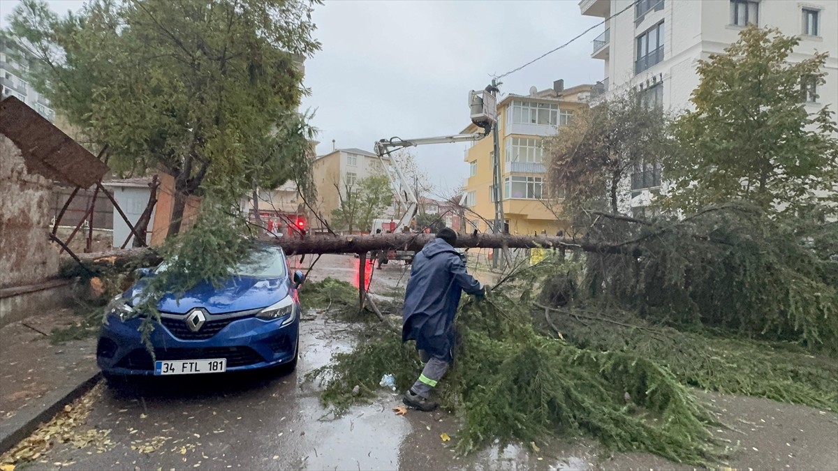 İstanbul'da, etkili olan sağanak ve rüzgar nedeniyle bazı yerlerde ağaçlar yola devrildi...