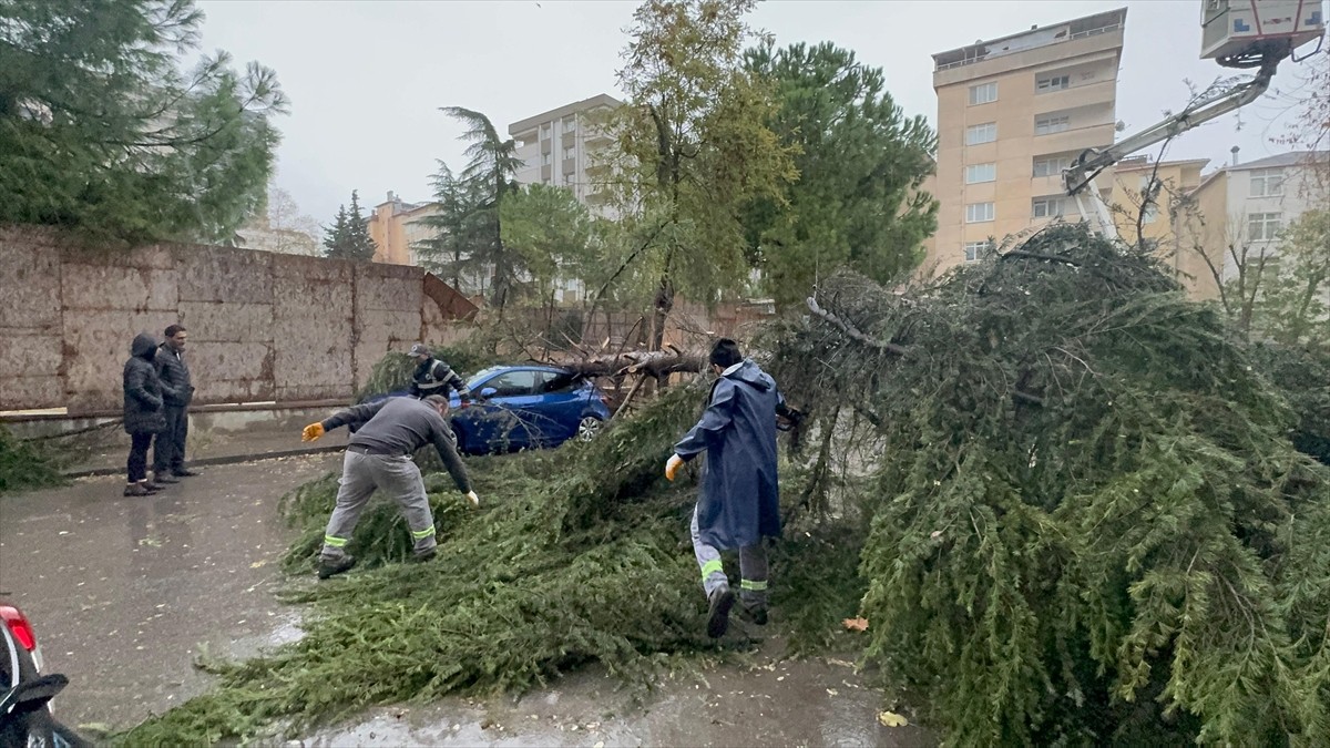 İstanbul'da, etkili olan sağanak ve rüzgar nedeniyle bazı yerlerde ağaçlar yola devrildi...