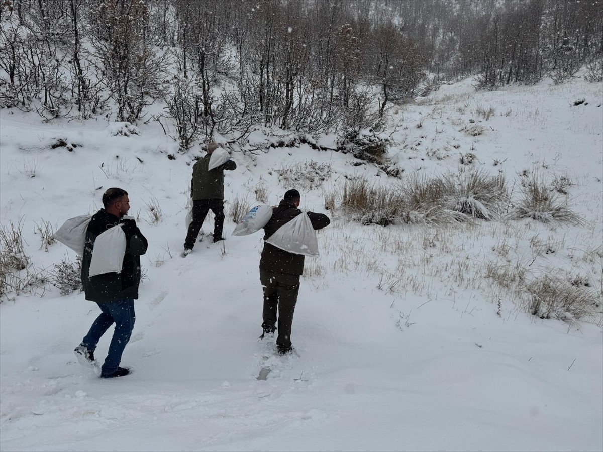 Siirt'te, olumsuz hava koşulları nedeniyle yiyecek bulmakta zorlanan yaban hayvanları için doğaya...