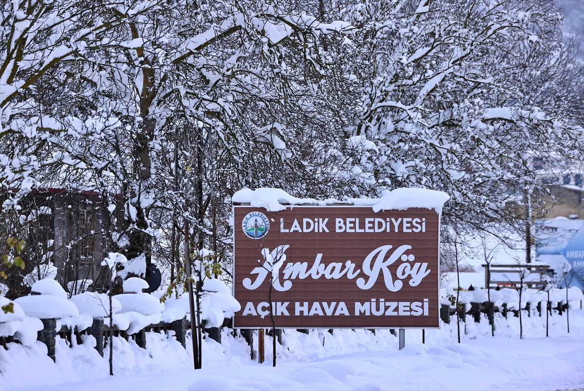 Samsun'un Ladik ilçesinde vatandaşların hibe ettiği ambarlarla kurulan Ambarköy Açık Hava Müzesi...