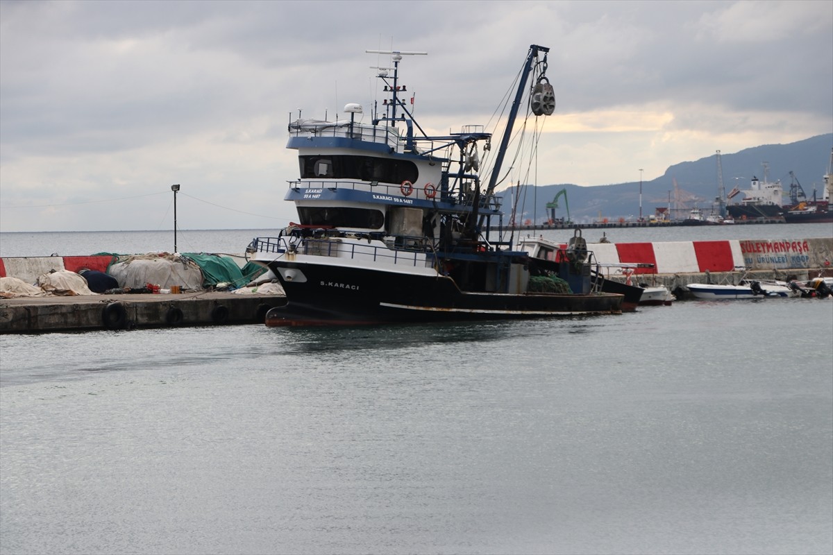 Tekirdağ'da 3 gündür devam eden poyrazın etkisini yitirmesiyle sahilde demirli şilep ve tankerler...